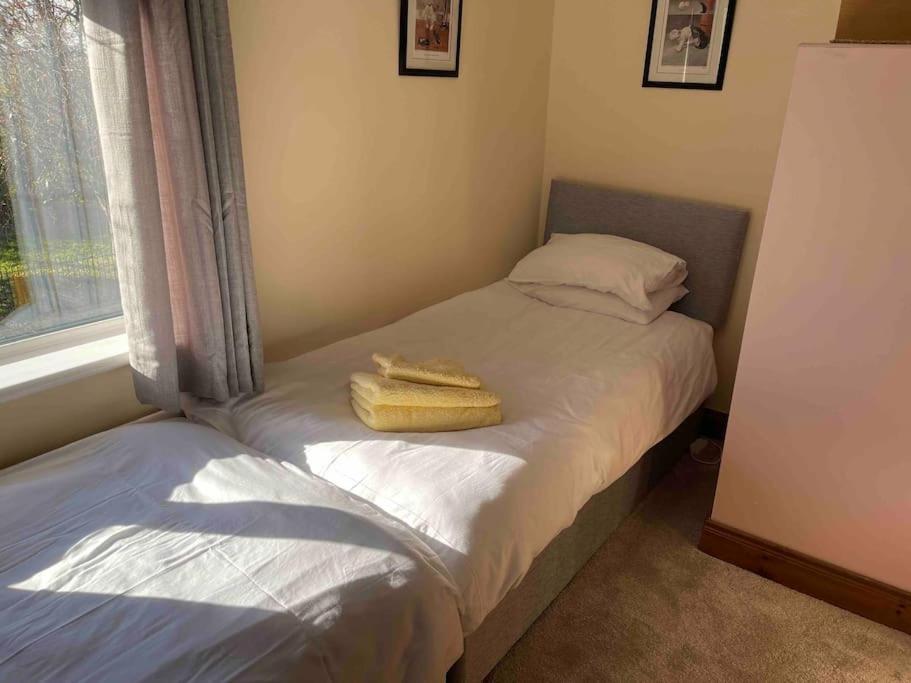 Lovely 2 Bedroom House Overlooking Park, Free Parking Belfast Exterior foto